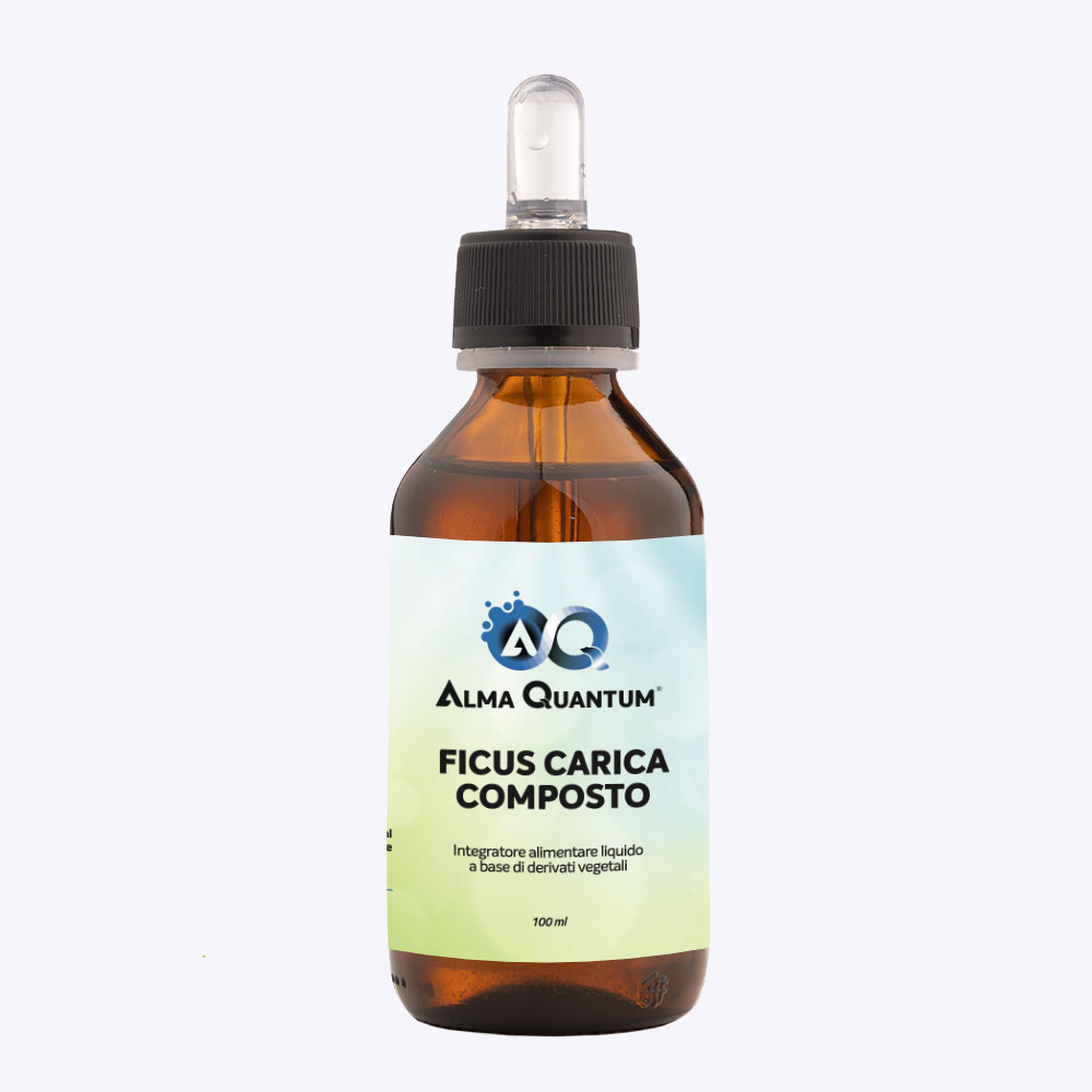 Shop Alma Quantum