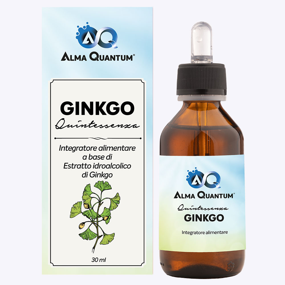 Ginkgo