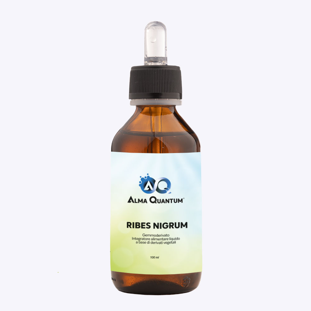 Shop Alma Quantum