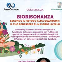 Shop Alma Quantum